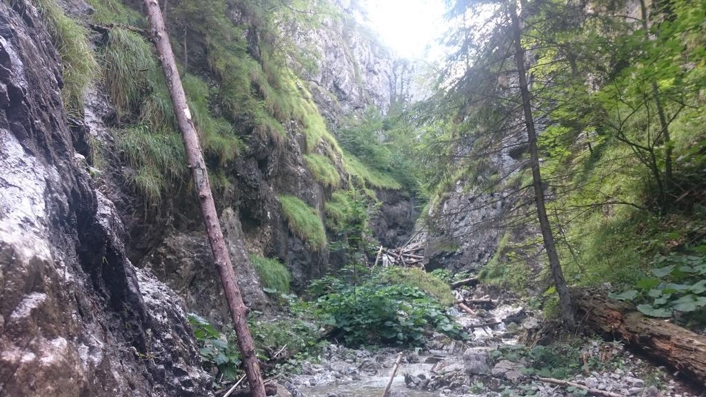 Studio Apartman Pohoda Cingov Slovensky Raj Spišské Tomášovce Dış mekan fotoğraf
